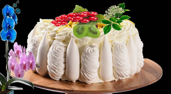 vacherin excellence